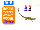 统编版一年级语文下册课件《阅读20 小壁虎借尾巴》