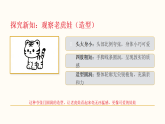 2026年春湘美版（新教材）小学美术二年级下册第二单元第三课《老虎娃》教学课件