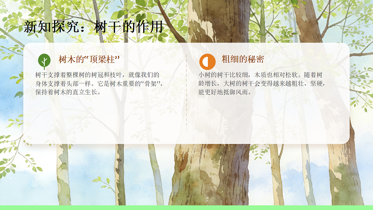 18083682第5页
