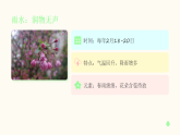 2026年春湘美版（新教材）小学美术二年级下册第三单元第四课《春日节气卡》教学课件