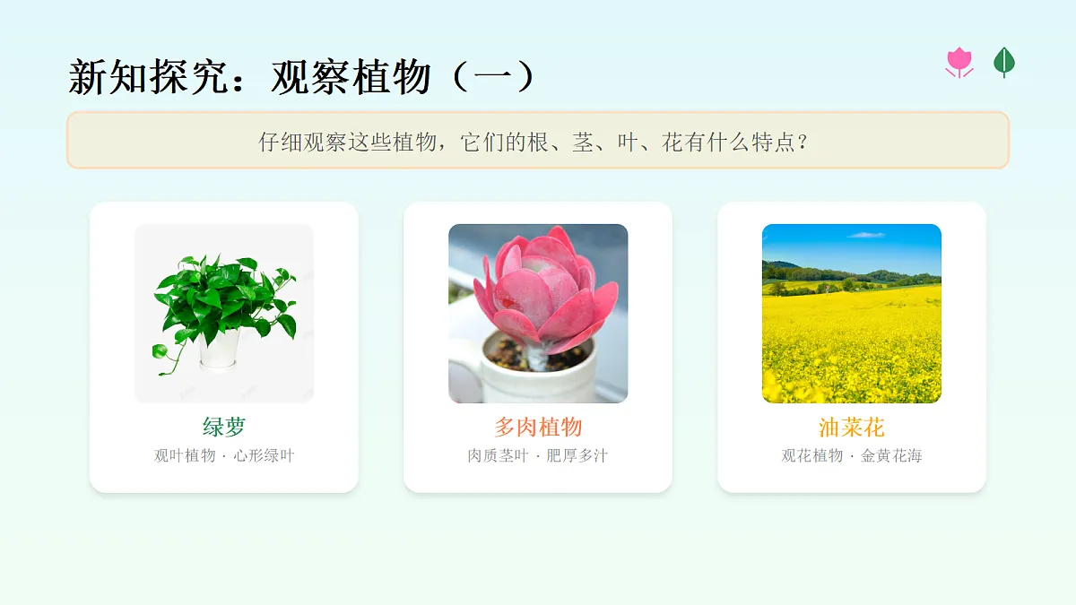 18083685第5页