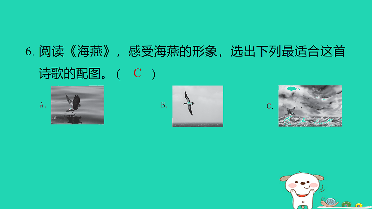 18086568第8页