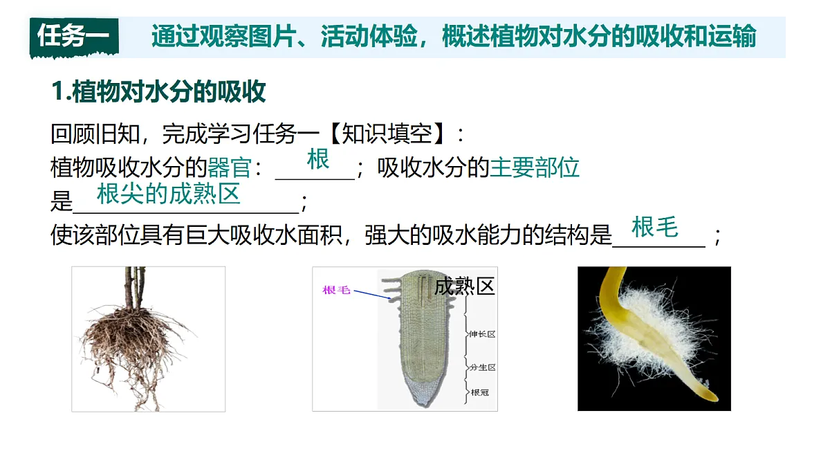 18086880第3页