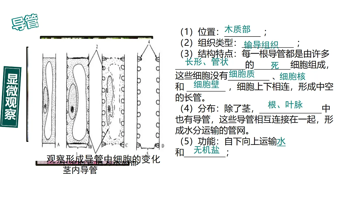 18086880第6页