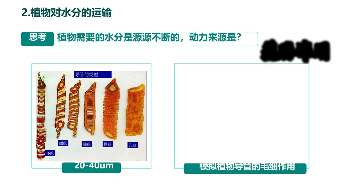 18086880第7页