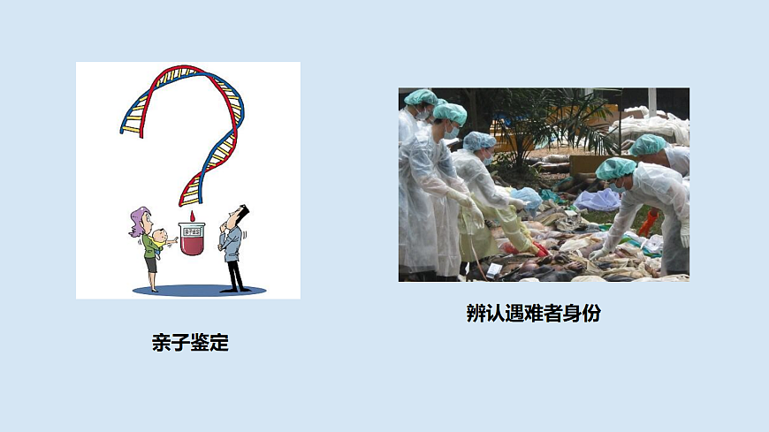 四川省仁寿第一中学校北校区曾铃课件PPT第3页
