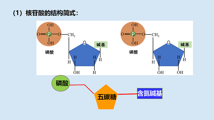 四川省仁寿第一中学校北校区曾铃课件PPT第8页
