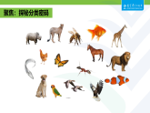 2.1 不同种类的动物(课件) 2025-2026学年教科版三年级科学下册