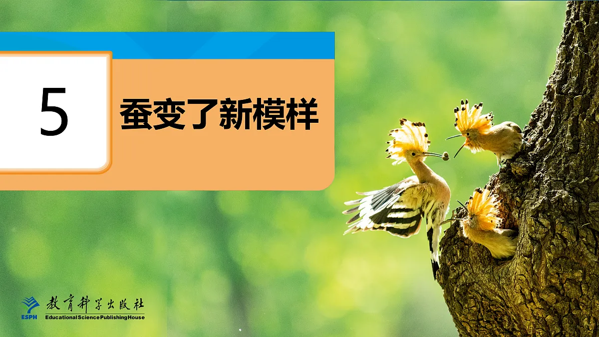 18087582第1页