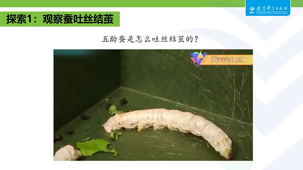 18087582第5页