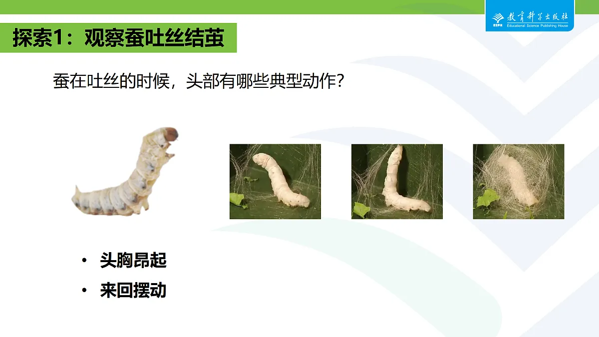 18087582第6页
