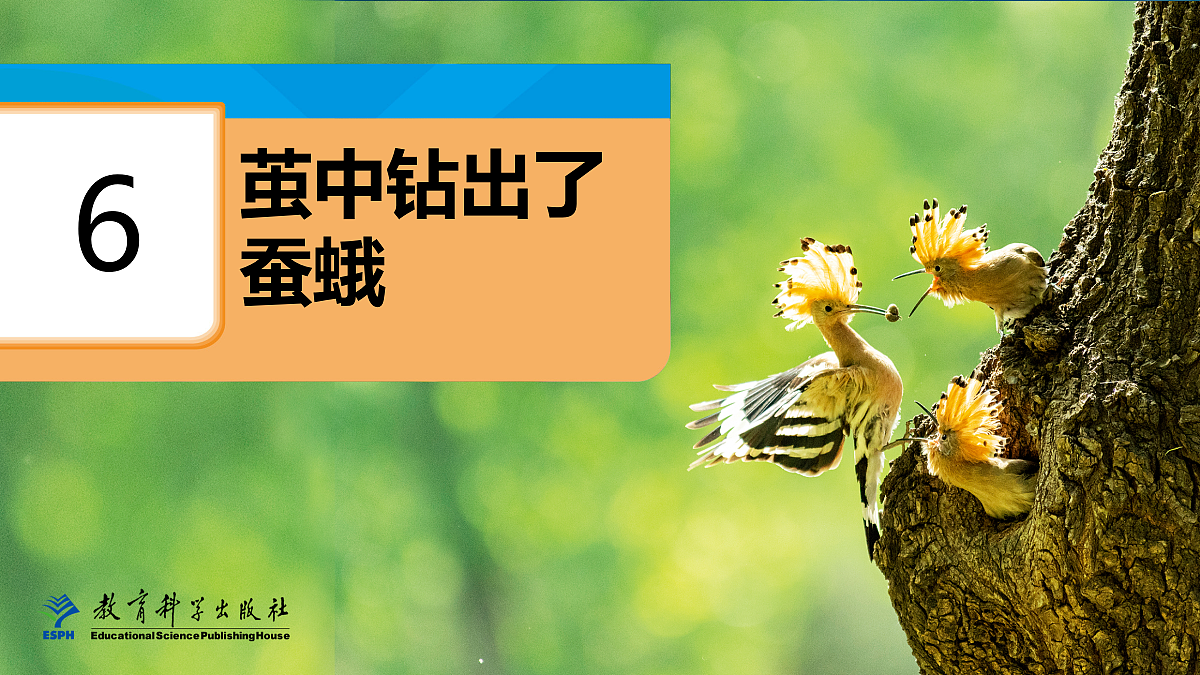 18087583第1页