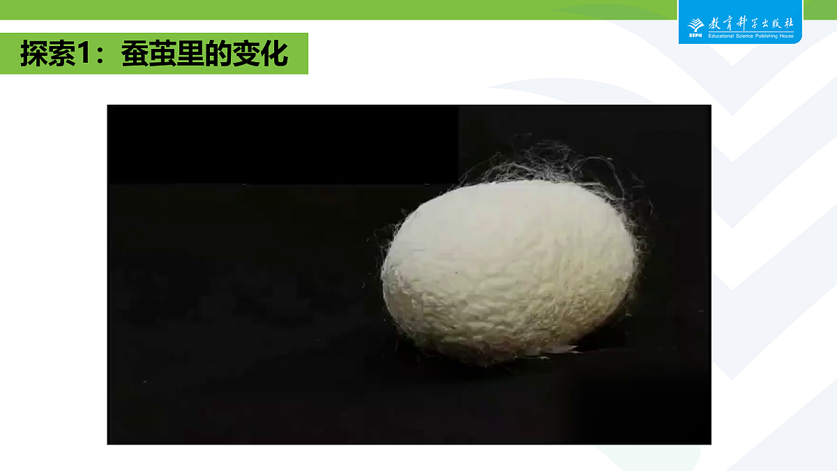 18087583第3页