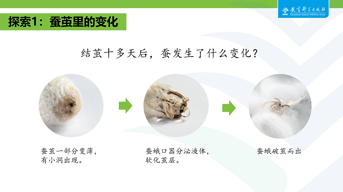 18087583第4页