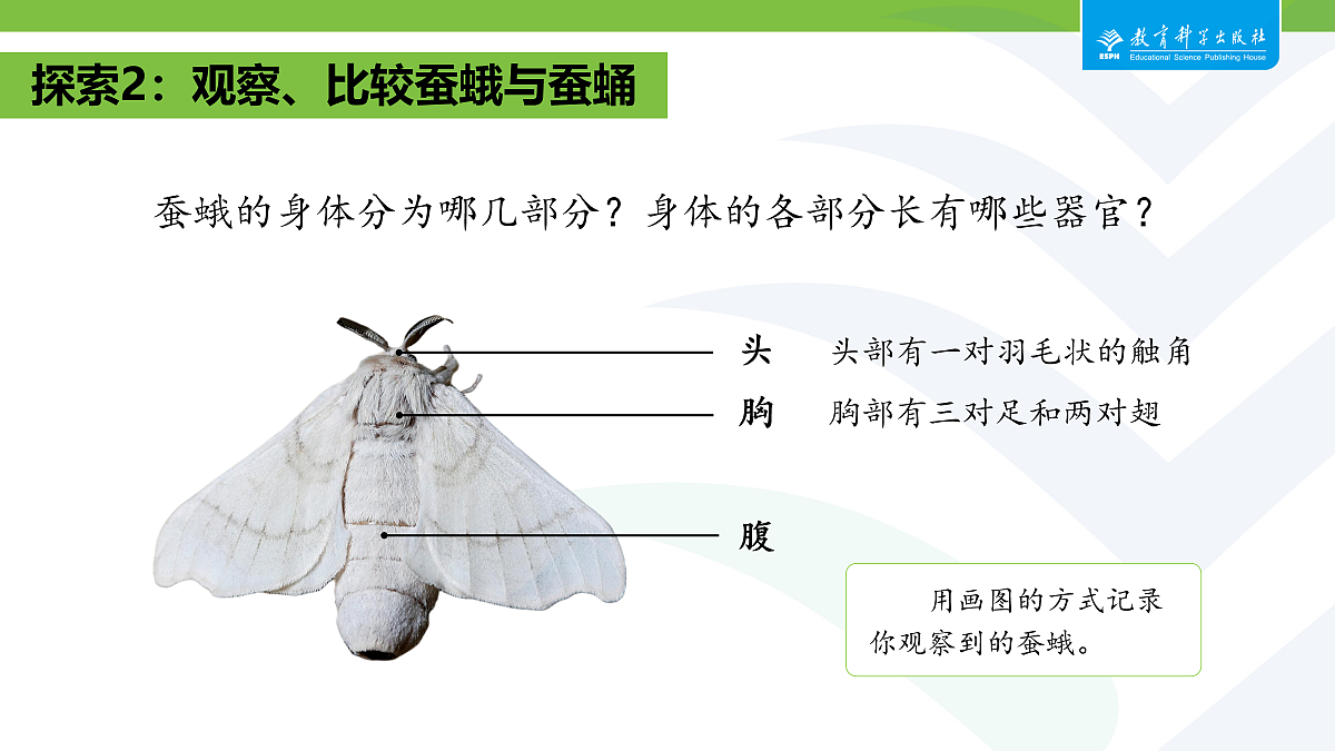 18087583第5页
