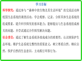 初中  生物  北师大版（2024）  八年级下册8.20.2  生态系统的组成 课件