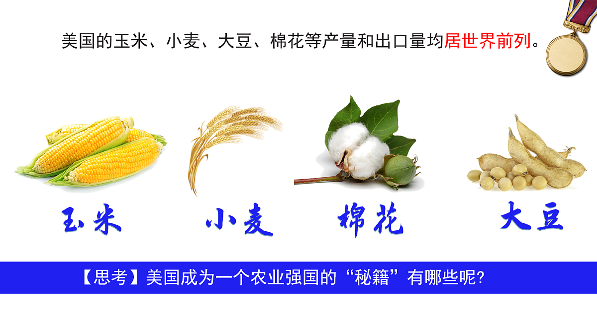 18087667第3页