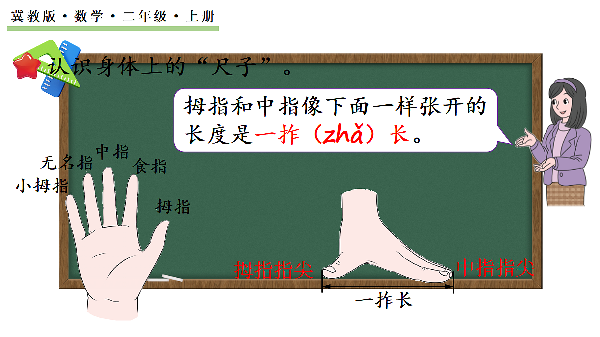 18088403第3页
