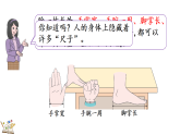 2.4身体上的“尺子”   课件 2025-2026学年冀教版数学二年级下册