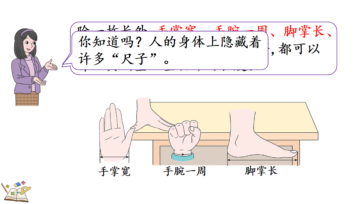 18088403第4页