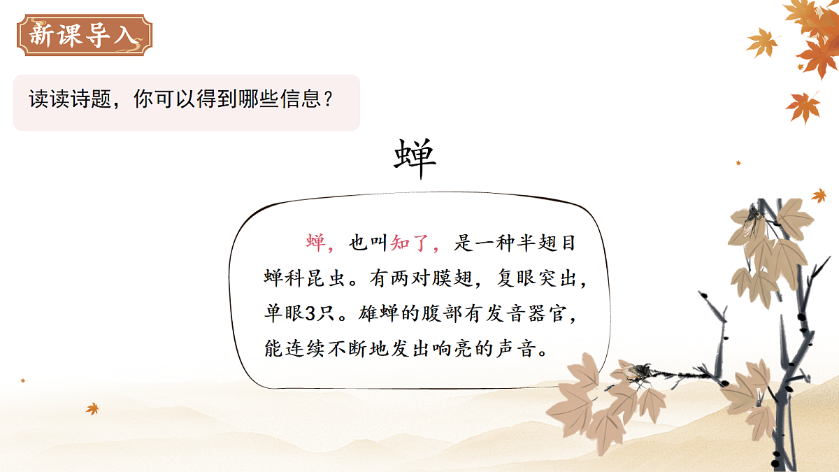 18088636第2页