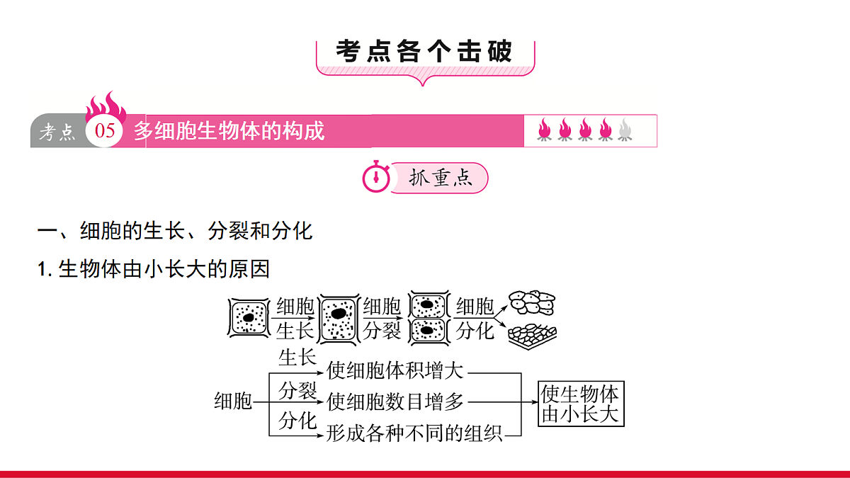 18090258第3页