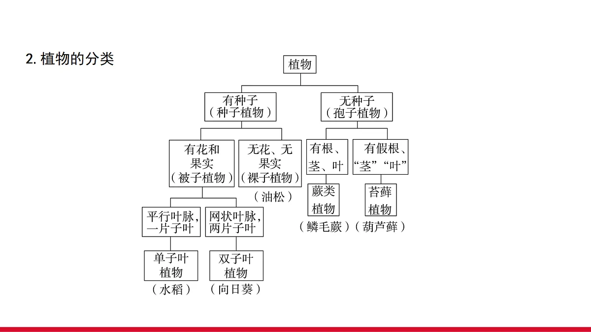 18090262第4页