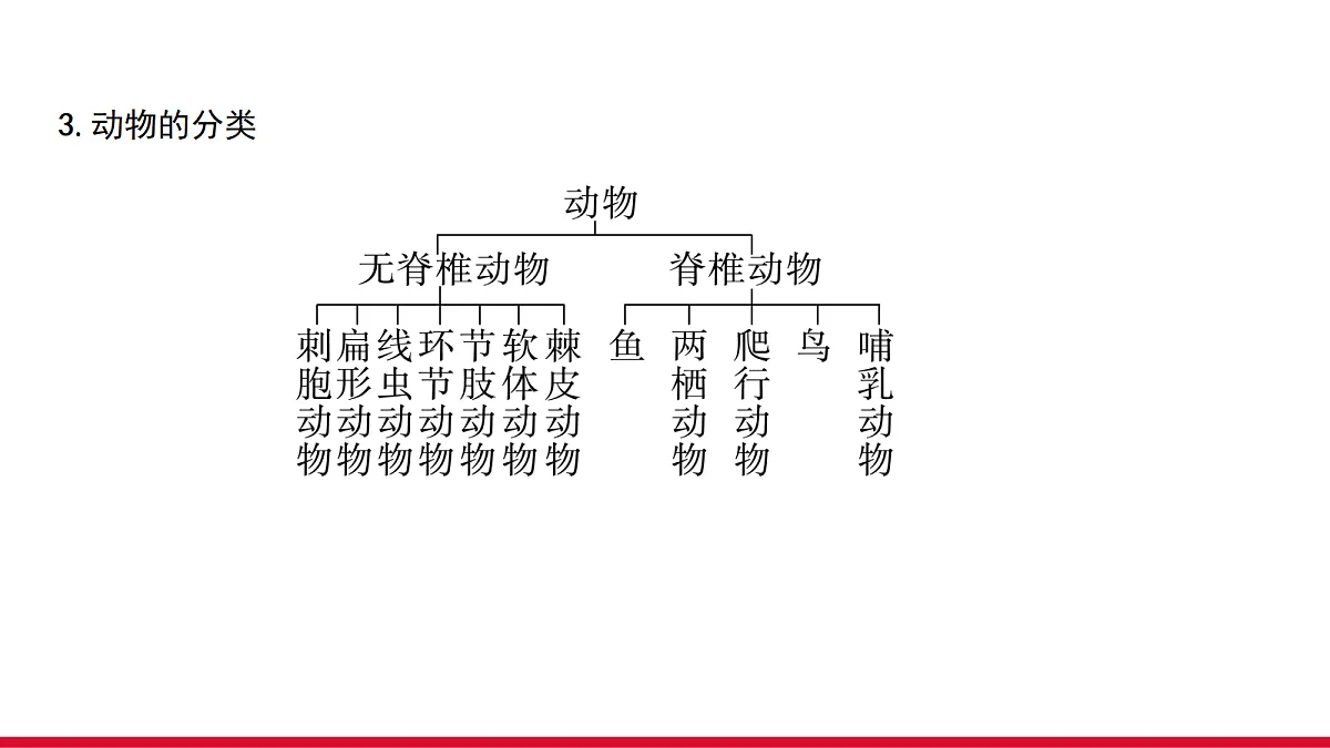 18090262第5页