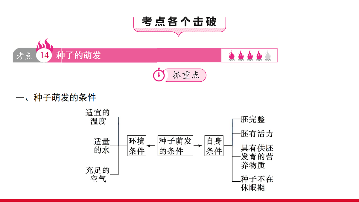 18090263第3页