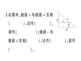 小学数学新苏教版三年级下册第五单元综合训练作业课件（放映显示答案）（2026春）