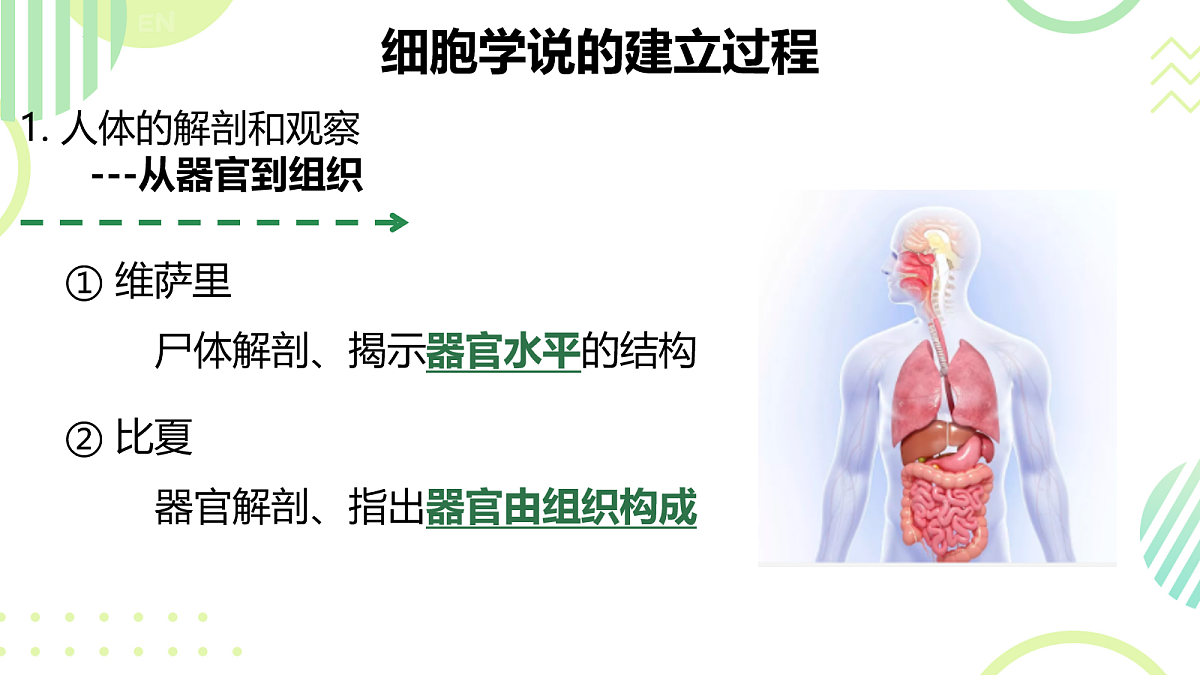 18090876第5页