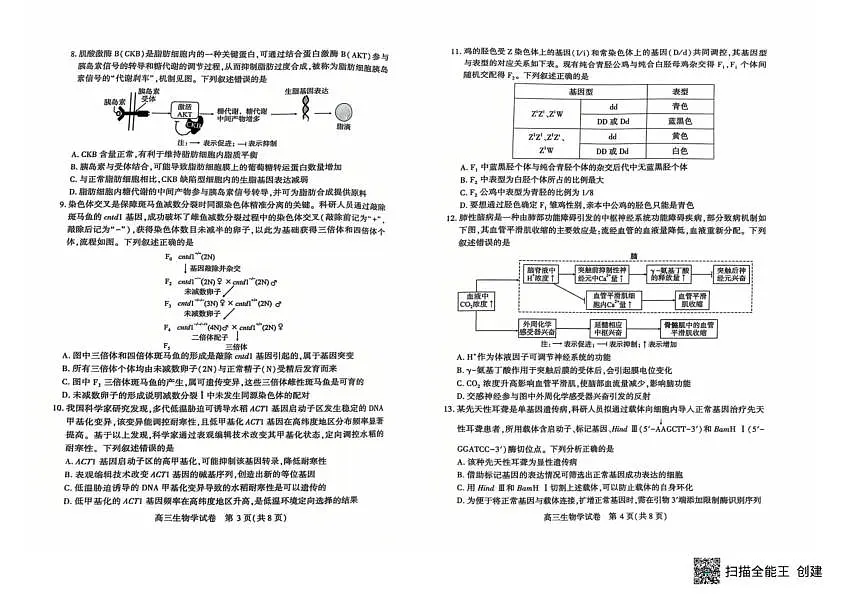 恩施州2026届高三第二次质量监测考试 生物第2页