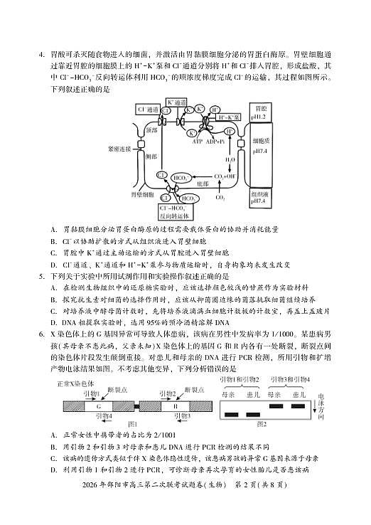2026年邵阳市高三第二次联考试题生物第2页