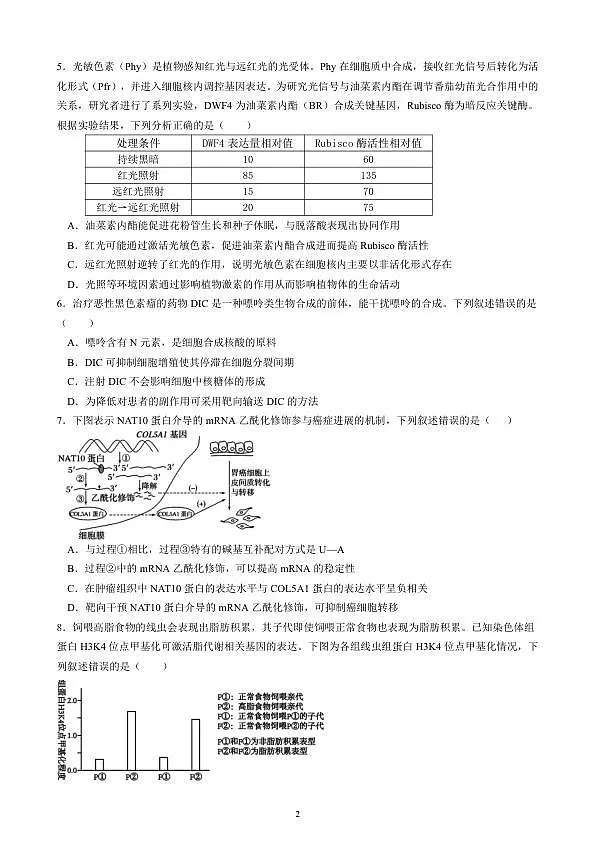成都石室中学2025-2026学年度下学期高2026届二诊模拟考试 生物第2页