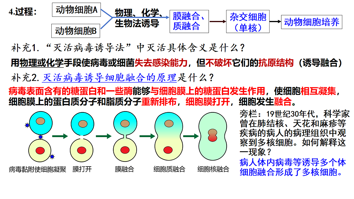 18093092第5页