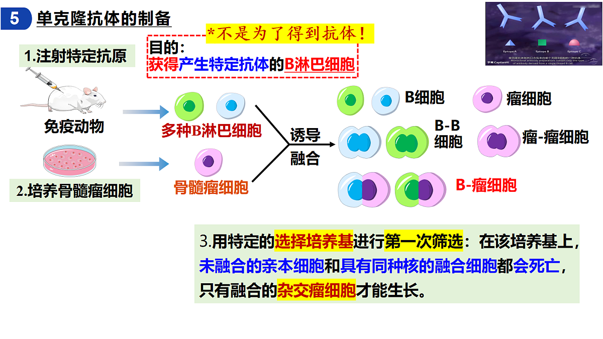 18093092第8页