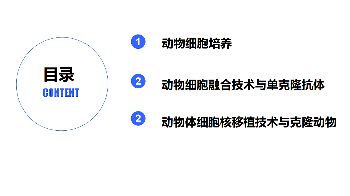 18093093第3页