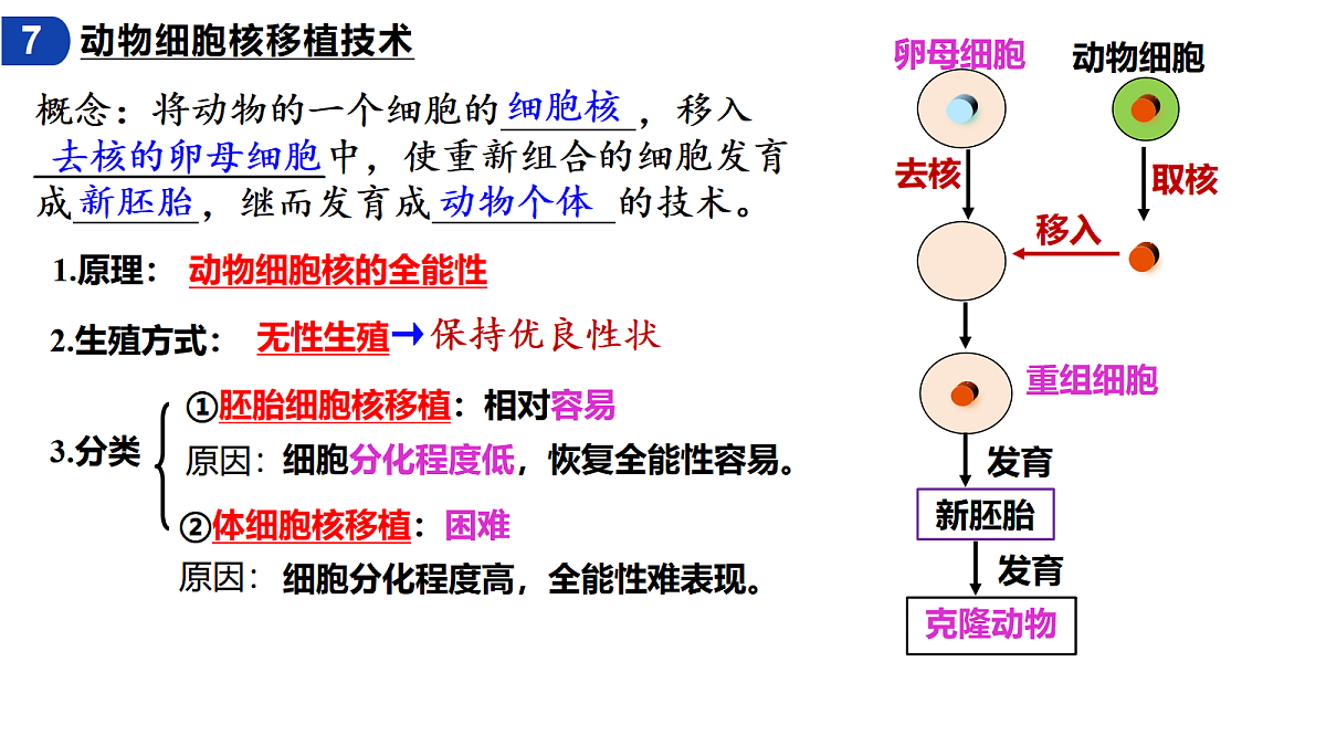 18093093第7页