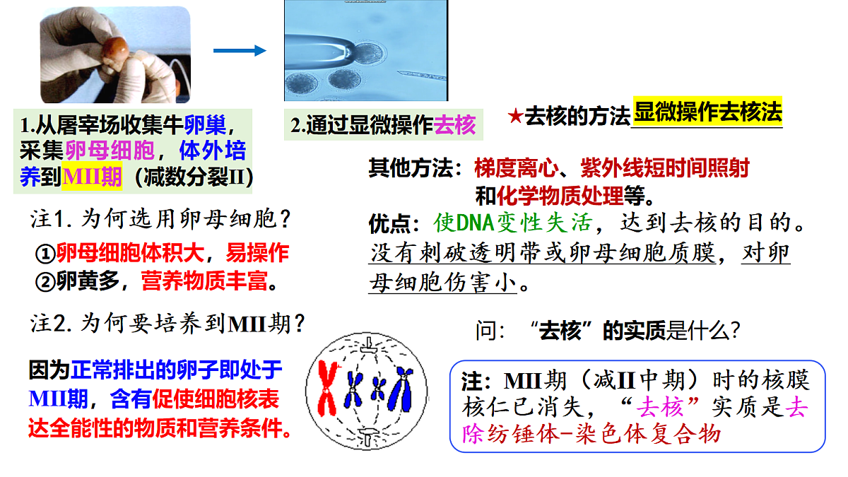18093093第8页