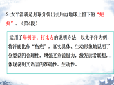 统编版语文八年级下册8 时间的脚印（课件）