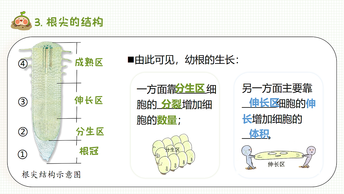 18093584第6页