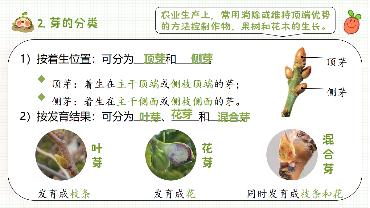 18093584第8页