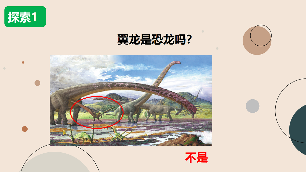 18093775第6页