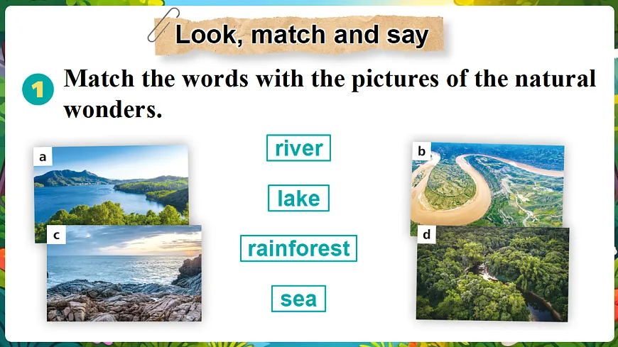 第4课时 Developing ideas（阅读）第2页