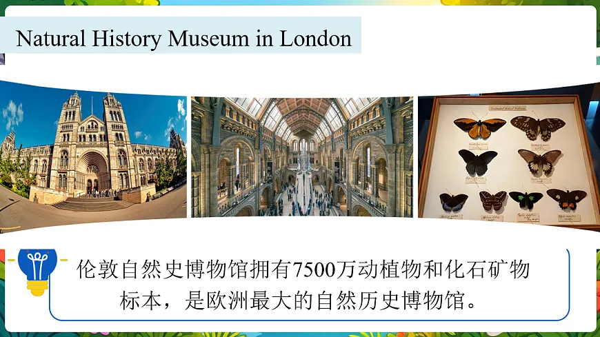 第3课时 Developing ideas（听说）第4页