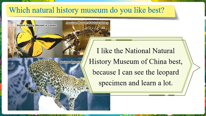 第3课时 Developing ideas（听说）第7页