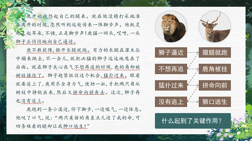 三下第二单元7《鹿角和鹿腿》(第二课时) 教学课件第5页