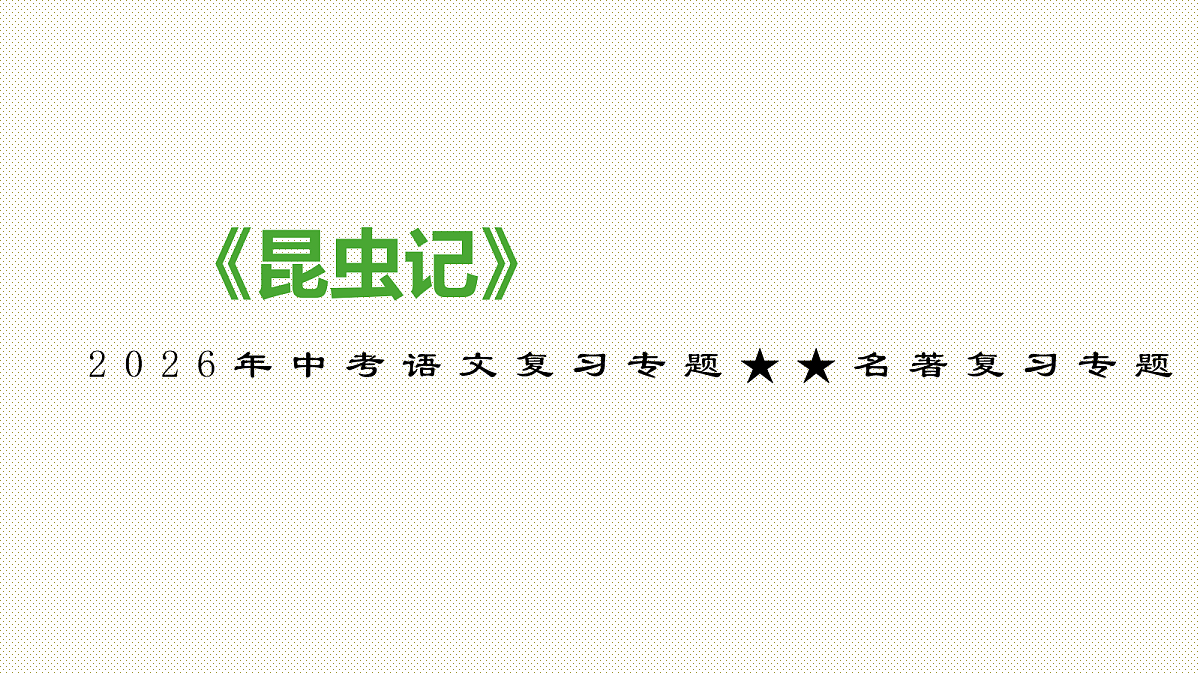 18095217第1页