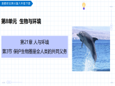 第8单元 21.3 保护生物圈是全人类的共同义务（教学课件）-2025-2026学年八年级生物下册（北师大版2024）