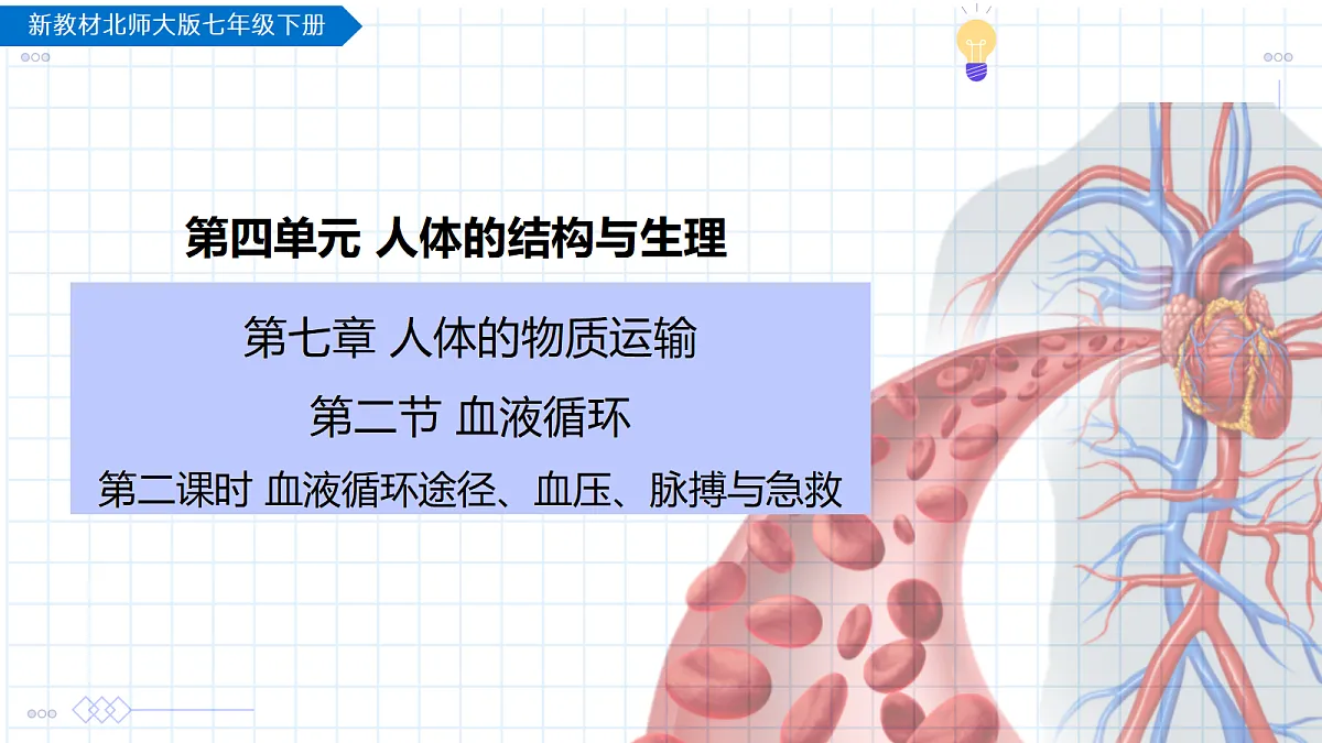 18095526第1页